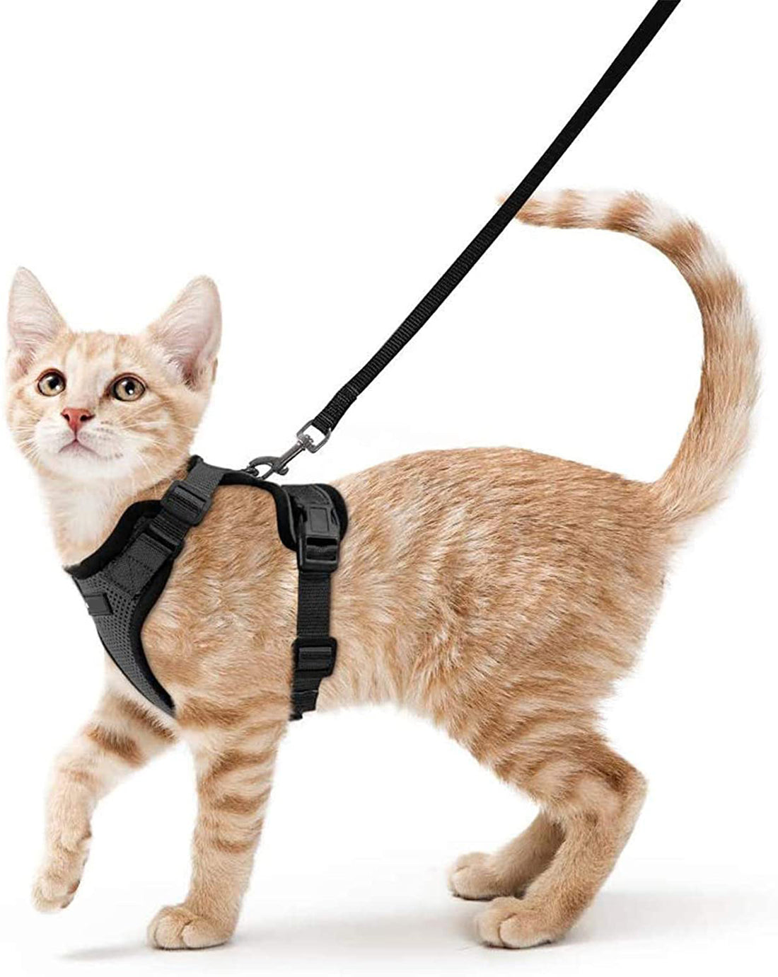 Pet Adjustable Vest Type Breakaway Leash Harness
