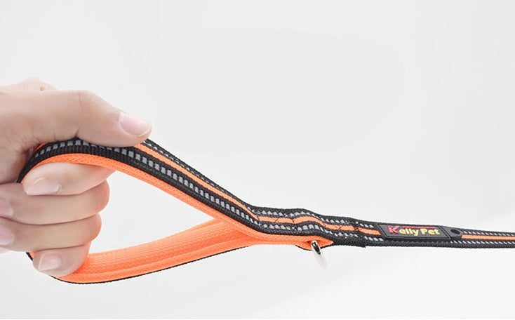 Pet Nylon Retractable Assisted Leash System