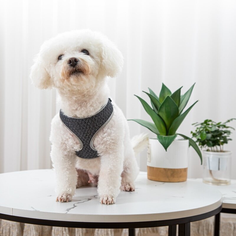 Vest Style Pet Walking Harness With Leash Control System