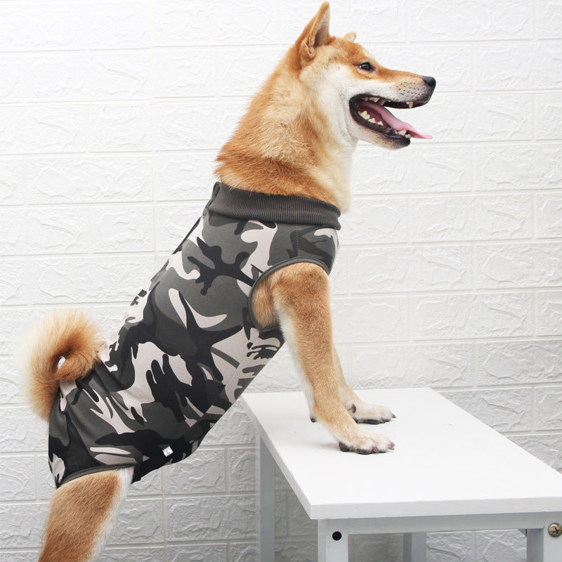 Multi Color Fashion Personality Pet Apparel