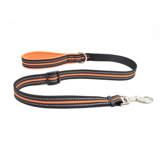 Pet Nylon Retractable Assisted Leash System