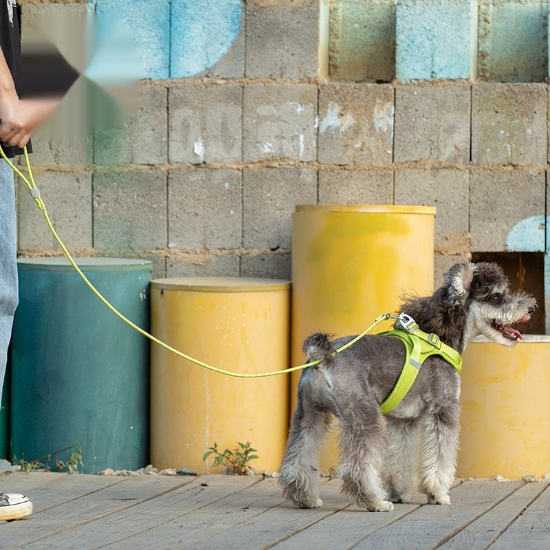 Colorful Adjustable Sliding Pet Leash Control Rope Lead