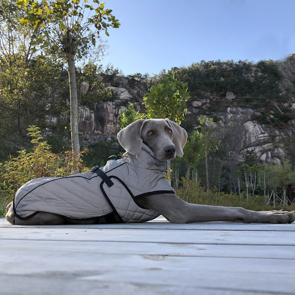 Full Body Reflective Pet Tactical Jacket Outdoor Wear