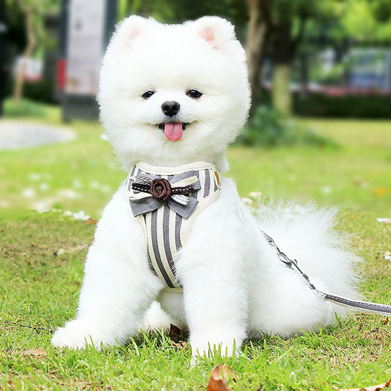 Pet Vest Type Chest Strap Harness Leash