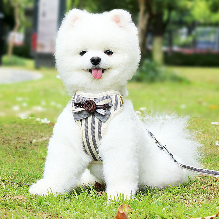 Pet Vest Type Chest Strap Harness Leash