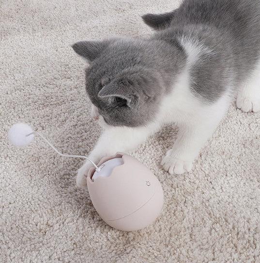 Funny Interactive Pet Toy Artifact
