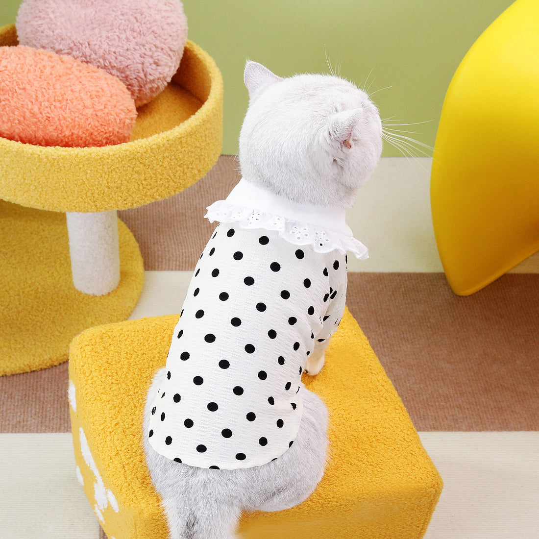 Blue Pet Casual T Shirt Clothing Top