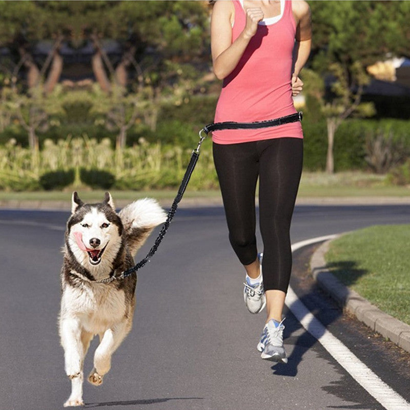 Adjustable Pet Harness Collar Jogging Control Leash Lead