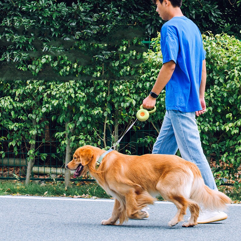 Durable Retractable Pet Leash With Reflective Rope Lead