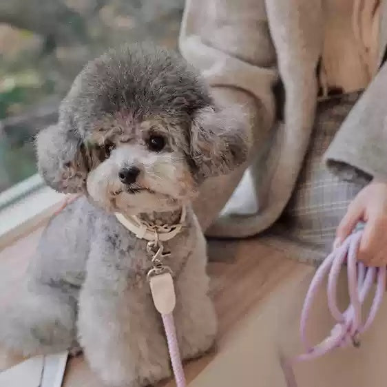 Leather Pet Collar Handheld Rope Leash Control Lead