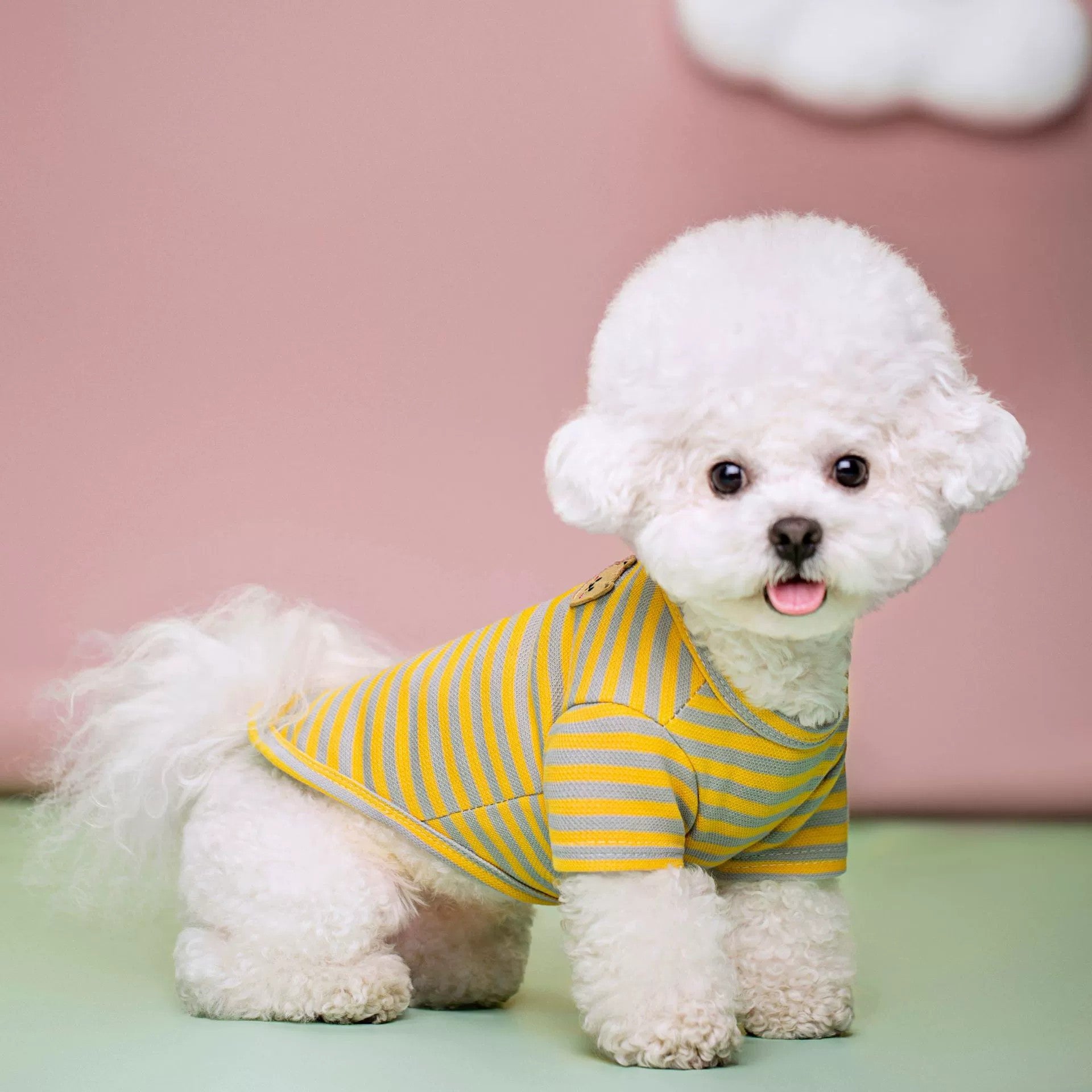 Breathable Summer T Shirt Pet Apparel