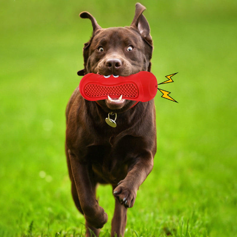 Natural Rubber Vocal Rugby Teething Chewing Interactive Pet Toy