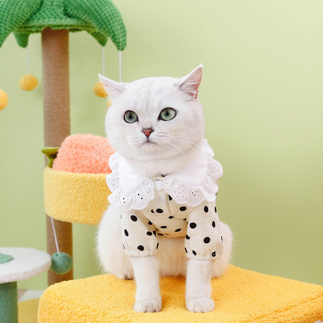 Blue Pet Casual T Shirt Clothing Top