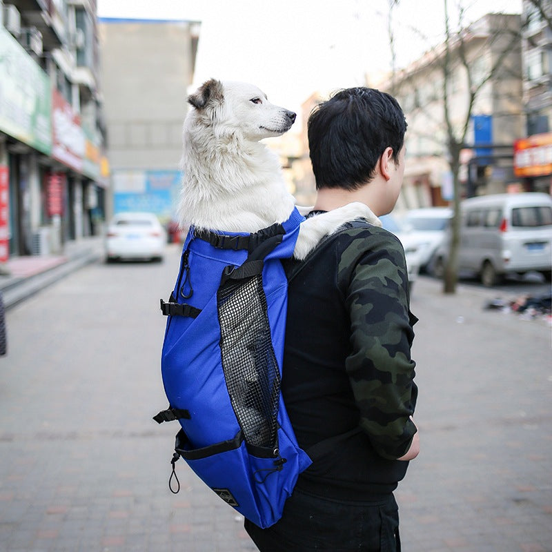 Portable Pet Backpack Carrier Double Shoulder Travel Bag