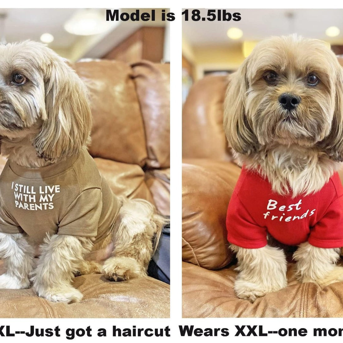 Round Neck Pet T Shirt Casual Wear Top