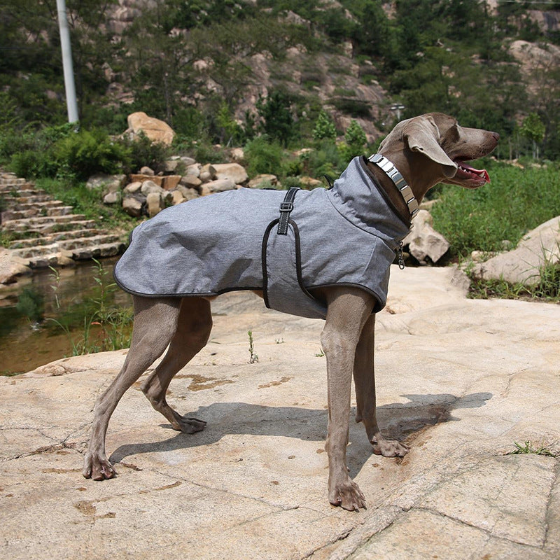 Winter Outdoor Ski Shell Suit Pet Jacket
