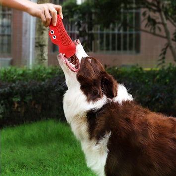 Natural Rubber Vocal Rugby Teething Chewing Interactive Pet Toy