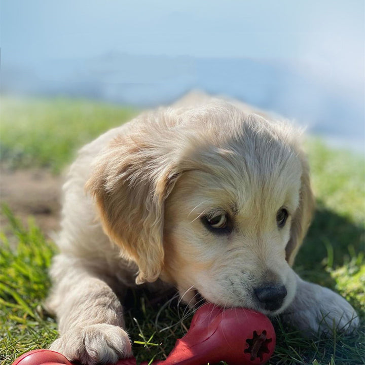 Bite Resistant Rubber Grinding Interactive Pet Toy