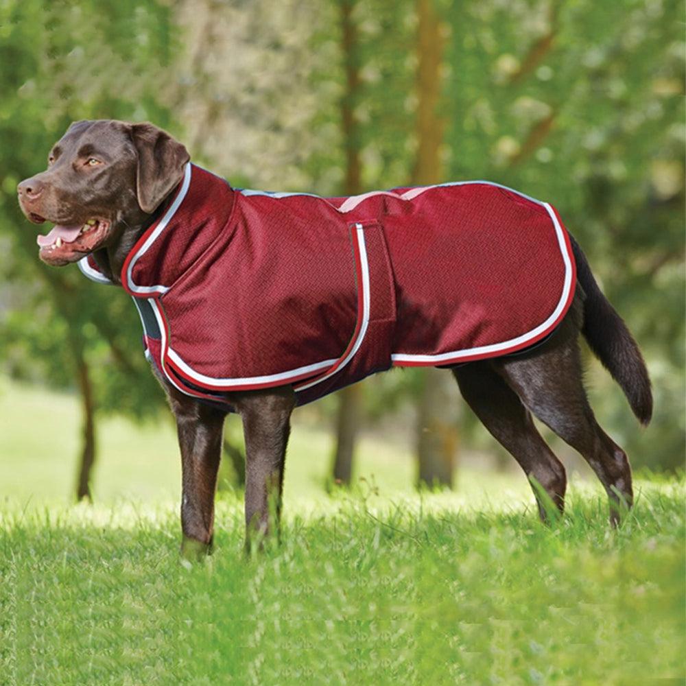 Warm Waterproof Leisure Winter Pet Jacket