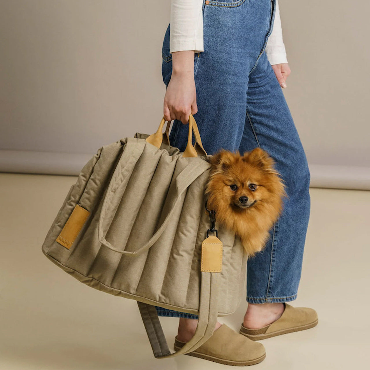Waterproof Pet Carrier Handbag Portable Travel Bag