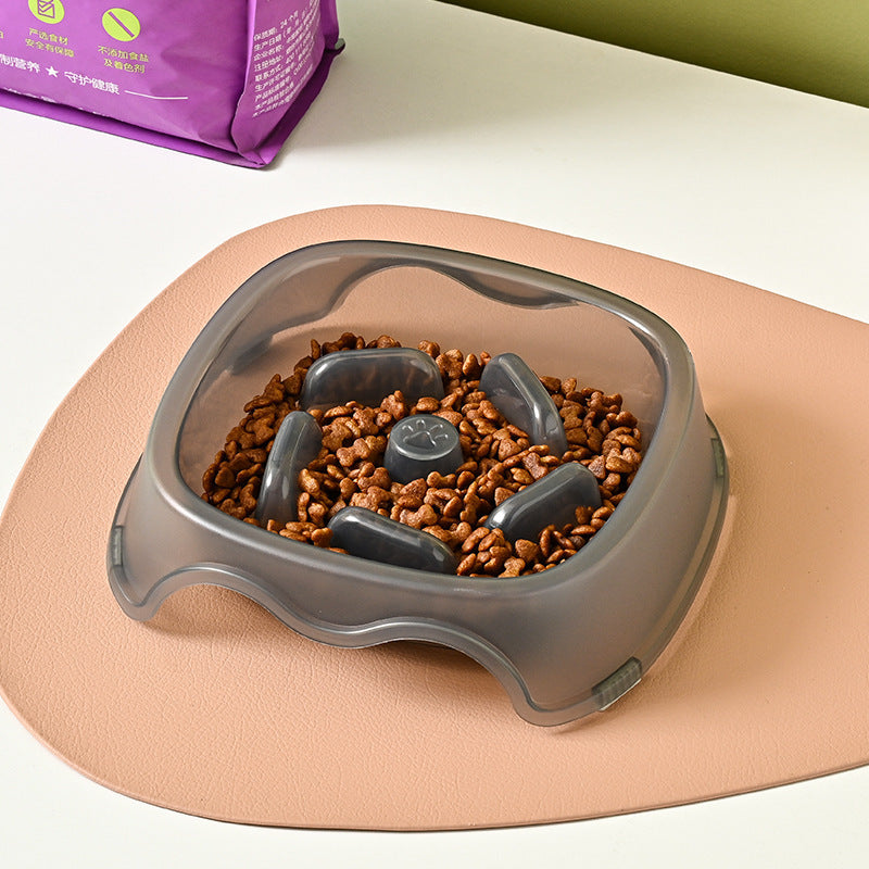 Anti Choking Slow Feeding Water Bowl Pet Dish