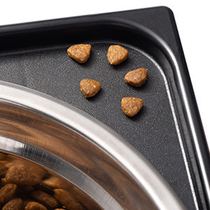 Elevated Pet Feeding Bowl Neck Support Anti Spill Design