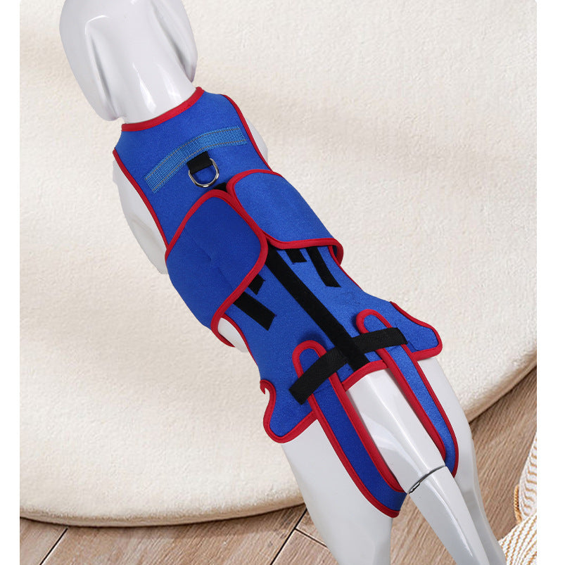 Pet Spine Support Jacket Posture Correction Vest