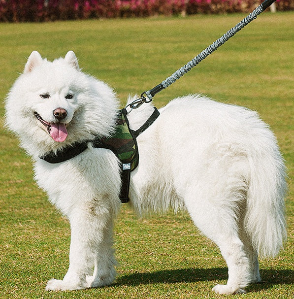 Pet Chest Harness With Adjustable Leash Control System