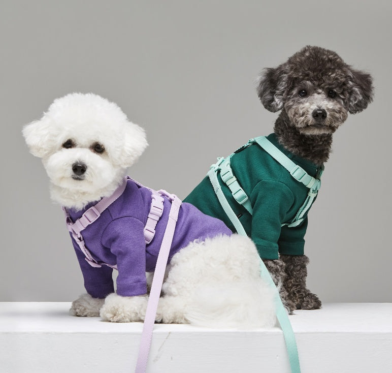Pet Macaron Style Fashion Leash