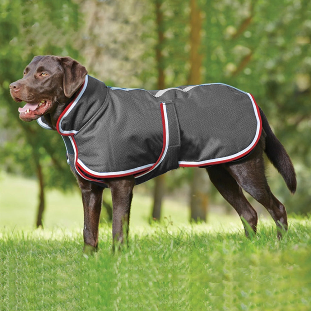 Warm Waterproof Leisure Winter Pet Jacket