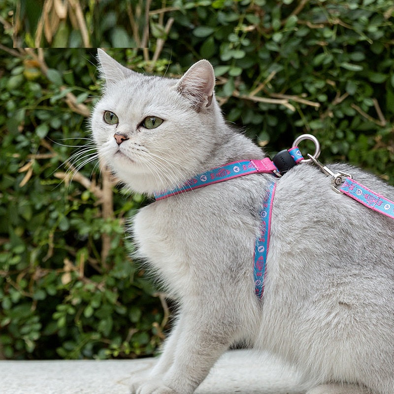 Pet Bell Chest Strap Vest With Leash Control System