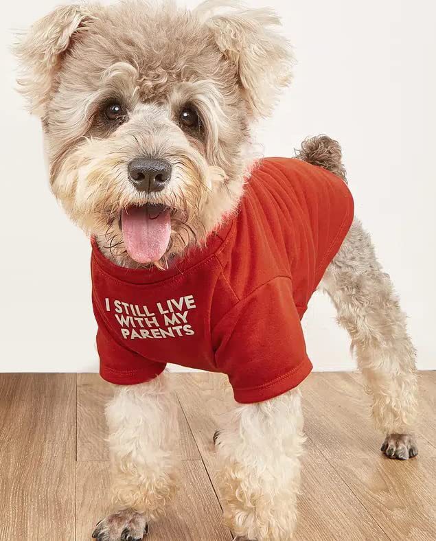 Round Neck Pet T Shirt Casual Wear Top