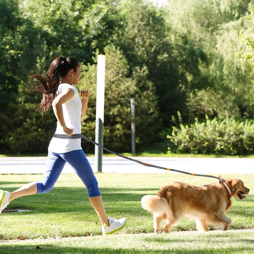 Adjustable Pet Harness Collar Jogging Control Leash Lead