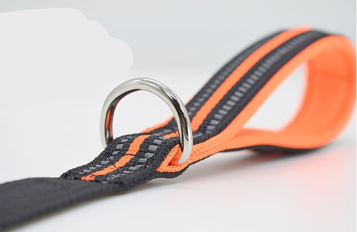 Pet Nylon Retractable Assisted Leash System
