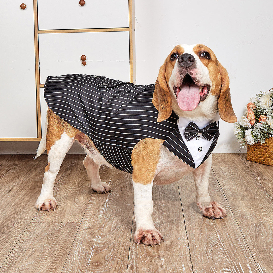Swallowtail Wedding Suit Jacket Pet Apparel
