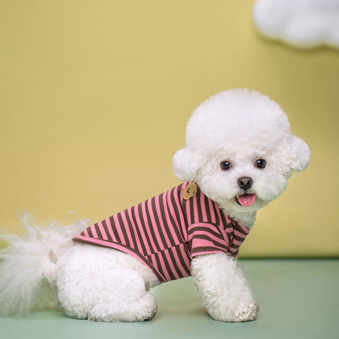 Breathable Summer T Shirt Pet Apparel