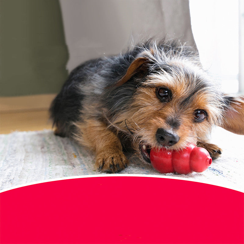 Bite Resistant Rubber Grinding Interactive Pet Toy