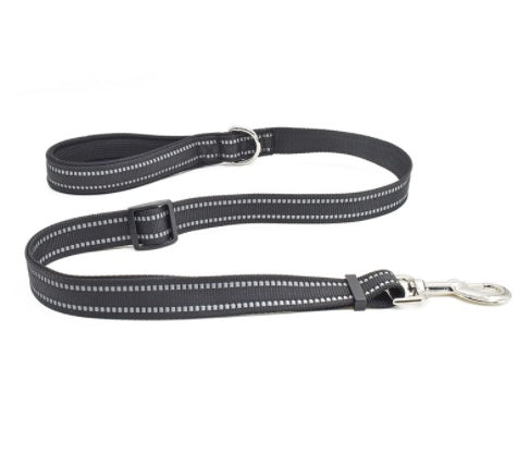 Pet Nylon Retractable Assisted Leash System