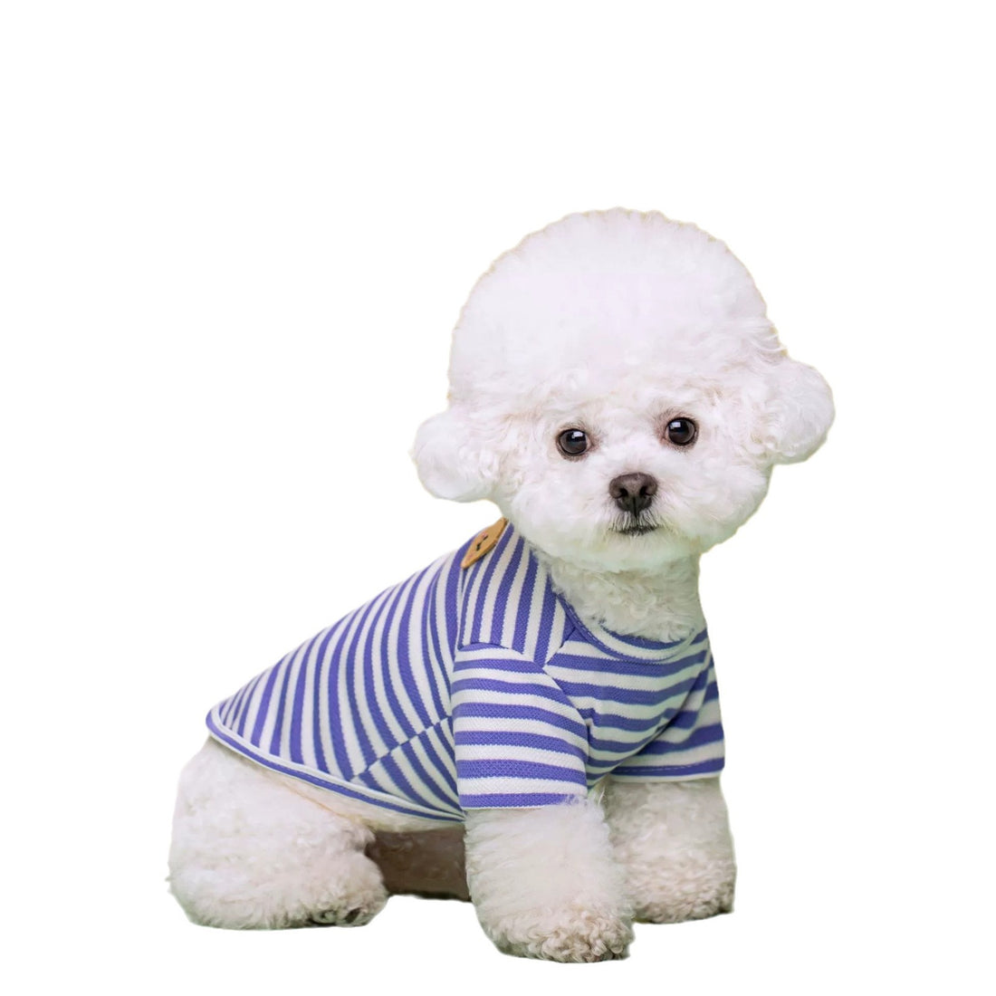 Breathable Summer T Shirt Pet Apparel