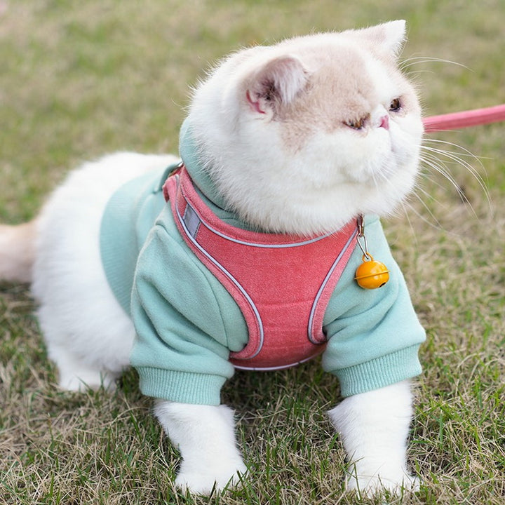Pet Vest Type Chest Harness And Leash