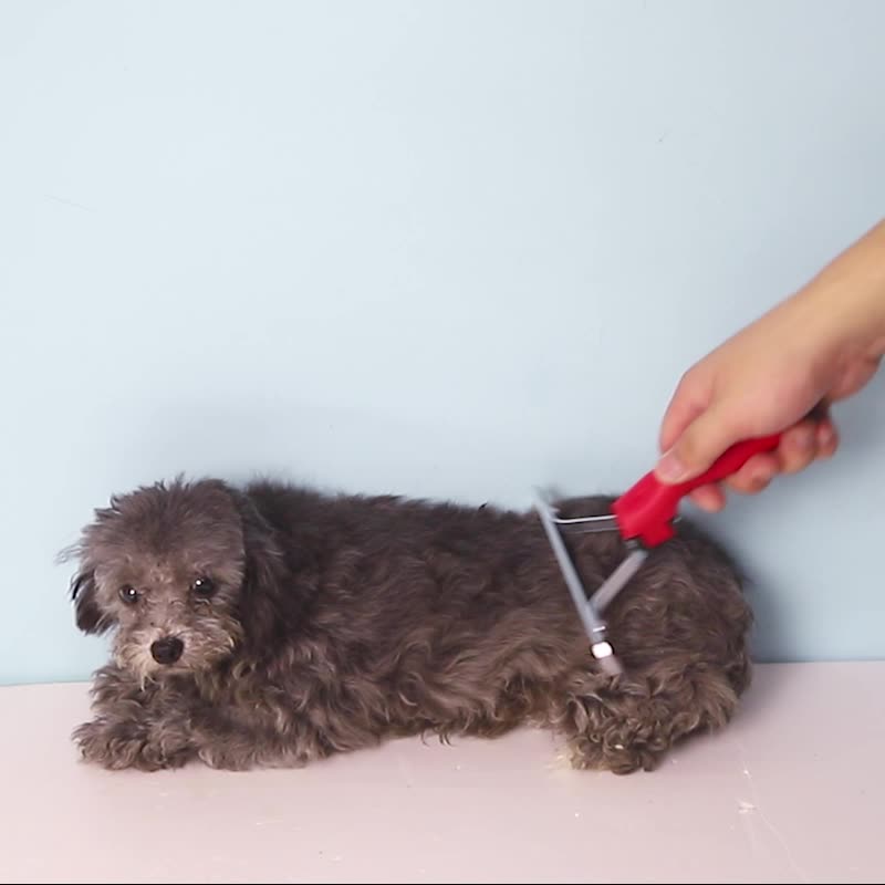Pet Deshedding Grooming Rake Comb Extra Large Hair Removal Tool