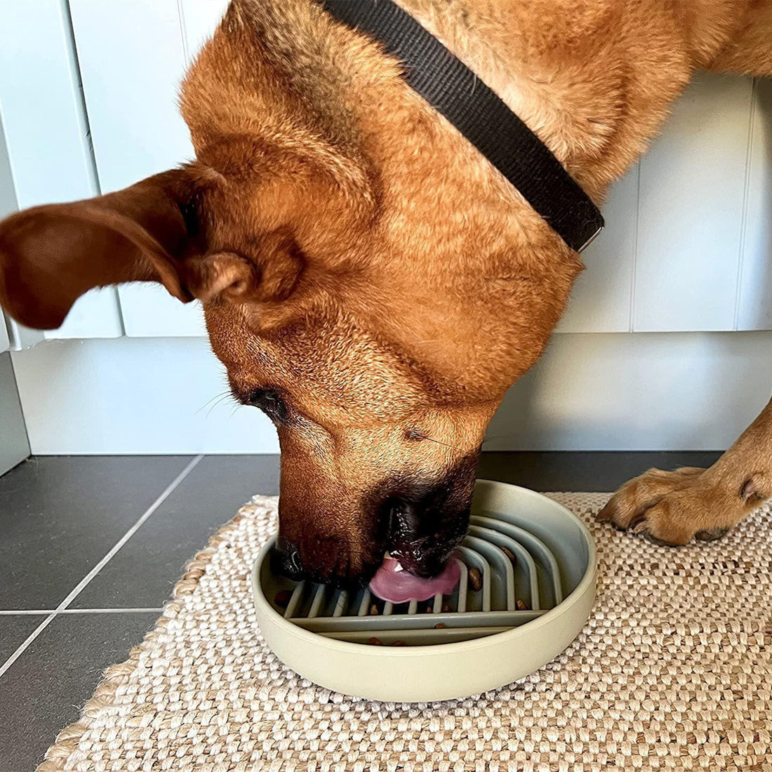 Pet Fashion Slow Feeding Bowl Simple Design