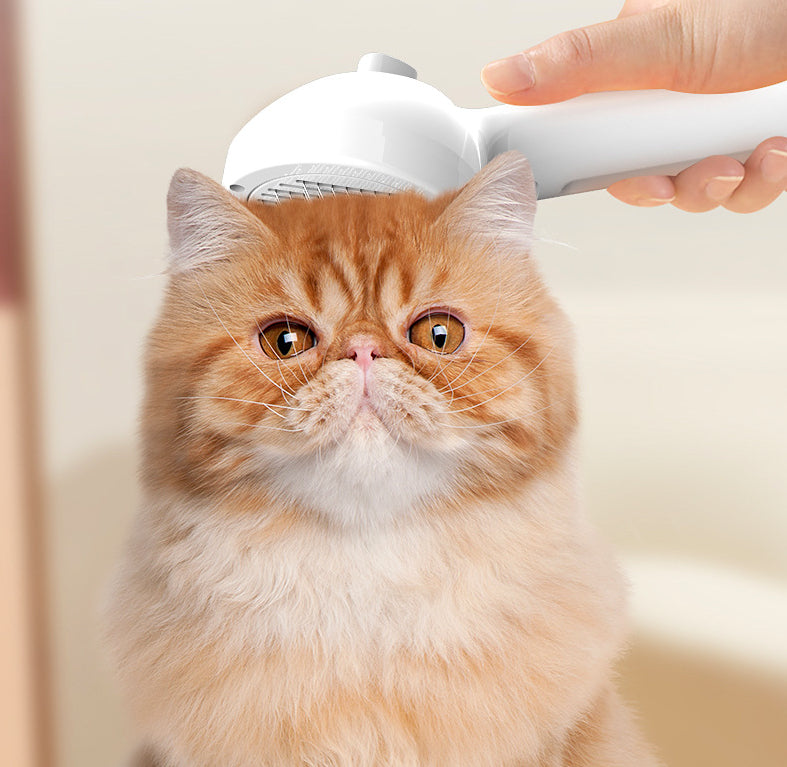 Self Cleaning Pet Grooming Comb With Mist Spray Tool