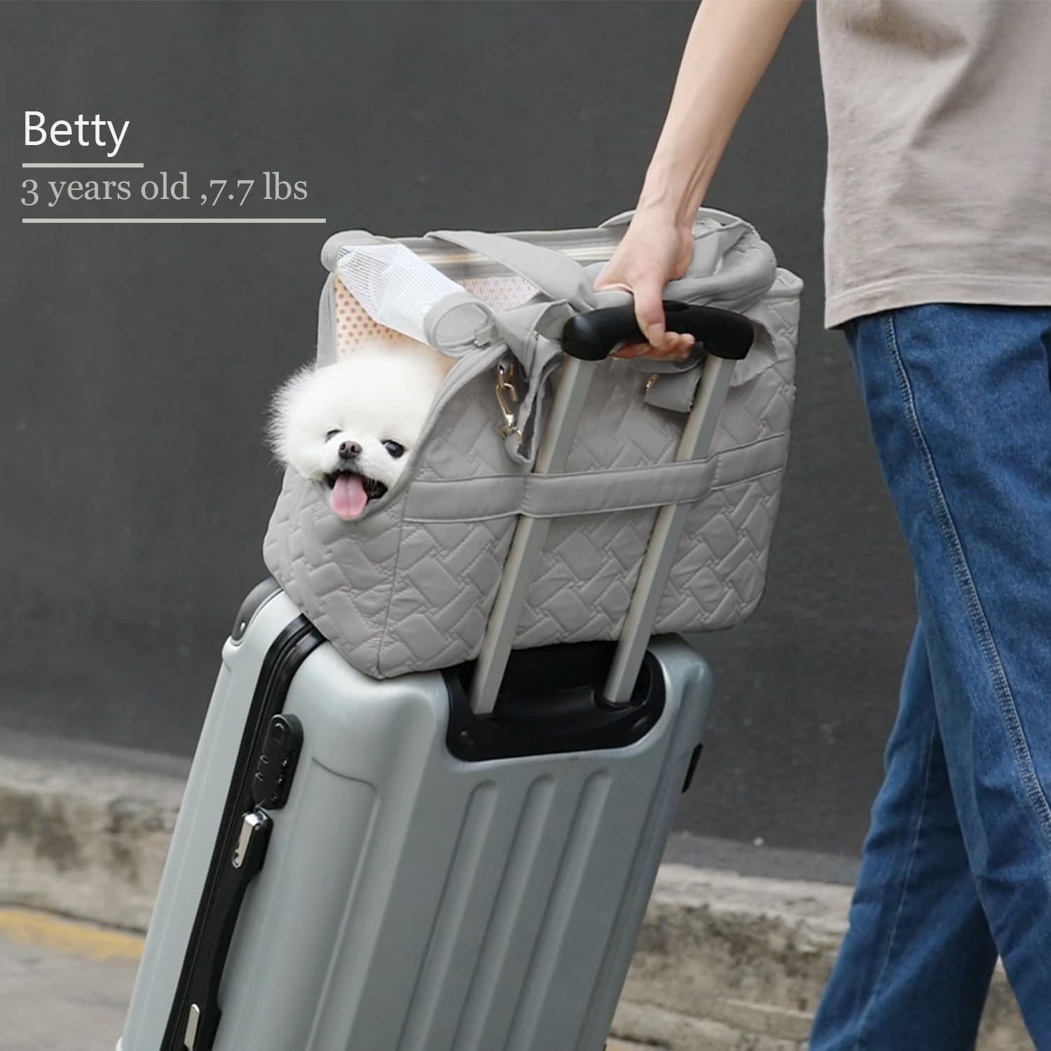 Breathable Mesh Pet Carrier Tote With Storage Pockets