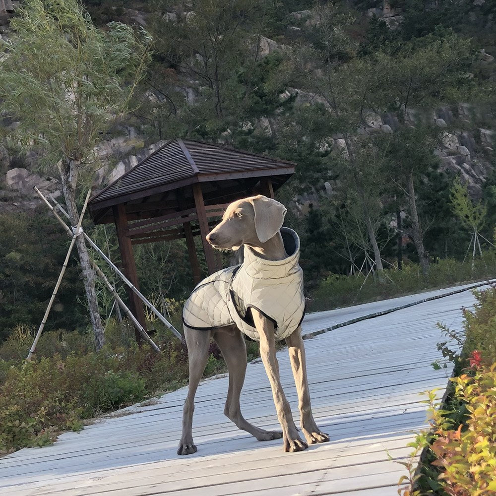 Full Body Reflective Pet Tactical Jacket Outdoor Wear