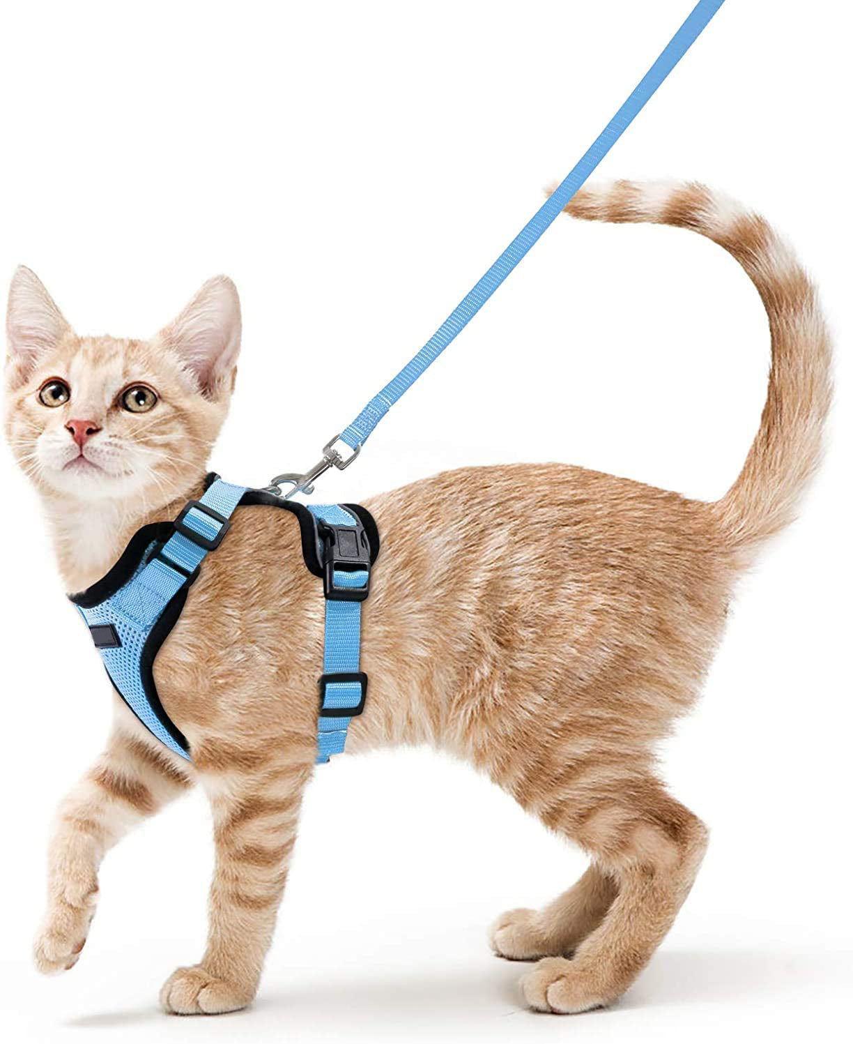 Pet Adjustable Vest Type Breakaway Leash Harness