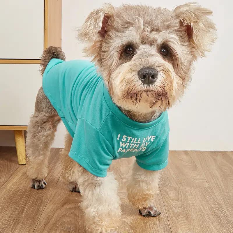 Round Neck Pet T Shirt Casual Wear Top