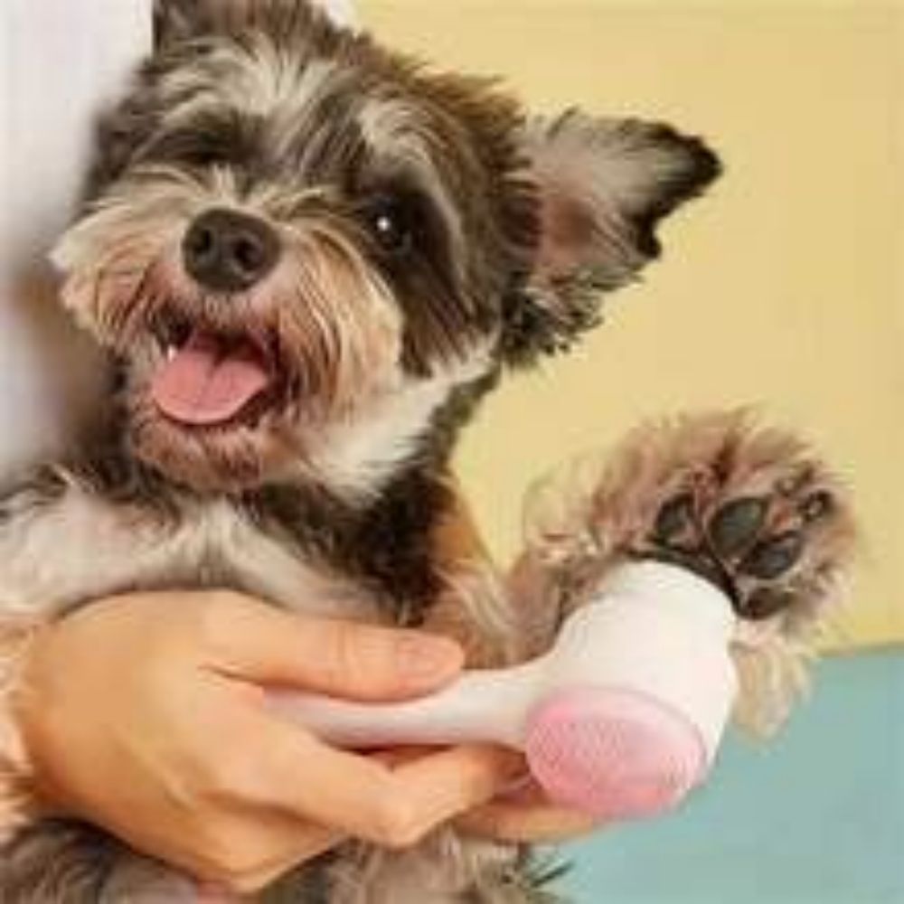 Easy Clean Nylon Pet Paw Grooming Brush Massage Tool