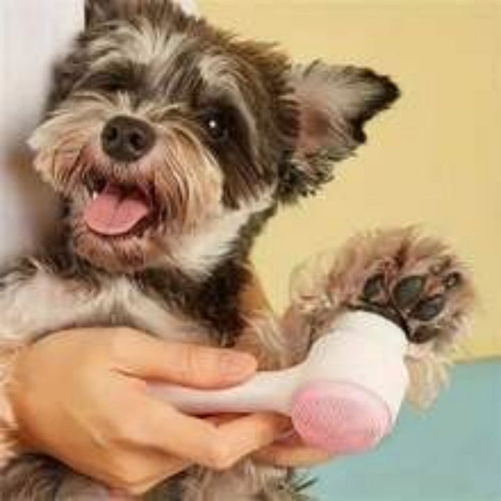 Easy Clean Nylon Pet Paw Grooming Brush Massage Tool
