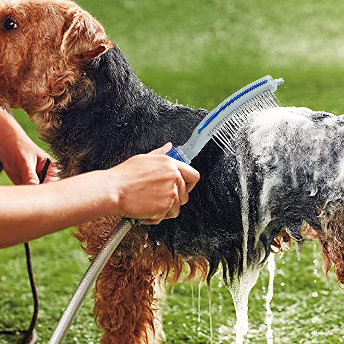 Shower Hose Bath Massage Pet Brush